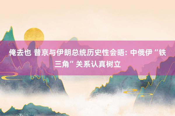 俺去也 普京与伊朗总统历史性会晤: 中俄伊“铁三角”关系认真树立