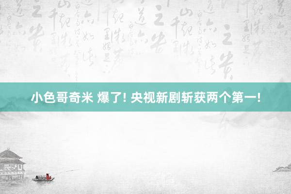 小色哥奇米 爆了! 央视新剧斩获两个第一!