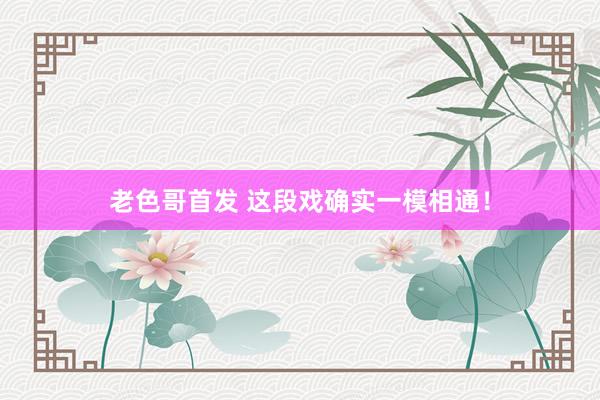 老色哥首发 这段戏确实一模相通！
